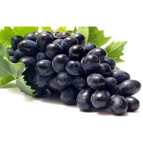 Black Seedless Fresh Grapes, Packaging Type: Carton, Packaging Size: 10 ...