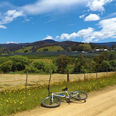 THE 10 BEST Things to Do in Huonville - Updated 2021 - Must See Attractions in Huonville ...