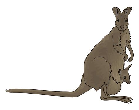 Red-necked wallaby clipart. Free download transparent .PNG | Creazilla