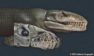 "Godzilla" Fossils Reveal Real-Life Sea Monster,photos | Natural World Site