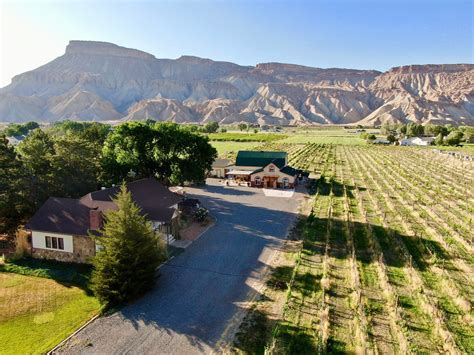 Palisade Colorado winery for sale with vineyard, tasting room, farmhouse — Garfield Estates ...