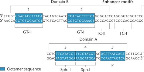 enhancer.html 17_06-enhancer.jpg