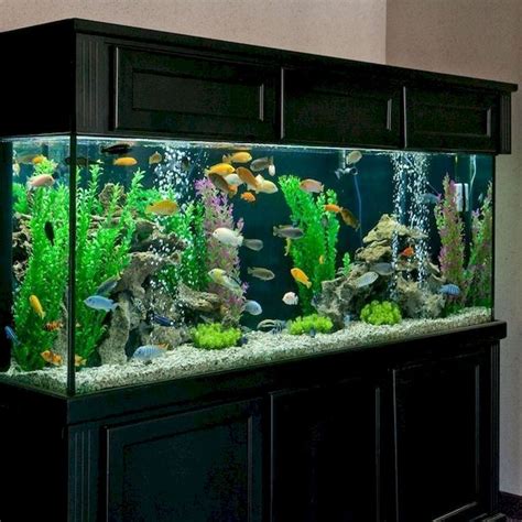 Fine Amazing Tips Your New Aquarium Decorations | Fresh water fish tank, Cichlid aquarium, Fish ...