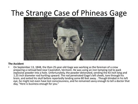 🎉 Phineas gage book summary. Brain case study: Phineas Gage. 2019-01-20