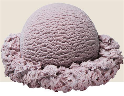 Freshly Flavored Black Raspberry Ice Cream Flavor | Stewart's Shops