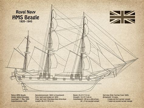 Charles Darwin HMS Beagle Tall Ship 08 Digital Art by StockPhotosArt Com