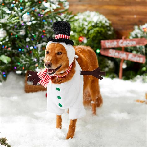 Dog Christmas Costume