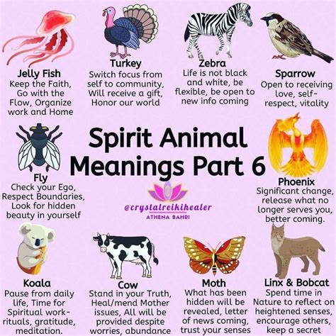 PSYCHIC ANIMALS MEANING | Spirit animal meaning, Animal spirit guides, Animal meanings