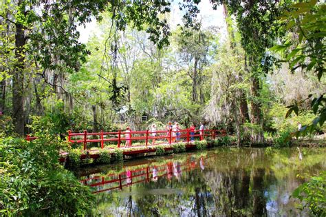 Magnolia Plantation and Gardens in Charleston, SC - Setarra