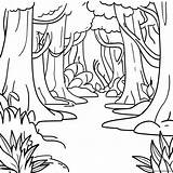 Lush Rainforest Biome Coloring Page 12021 9438 sketch template