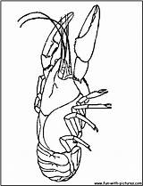 Mardi Gras Crawfish Coloring Page Coloring Pages sketch template