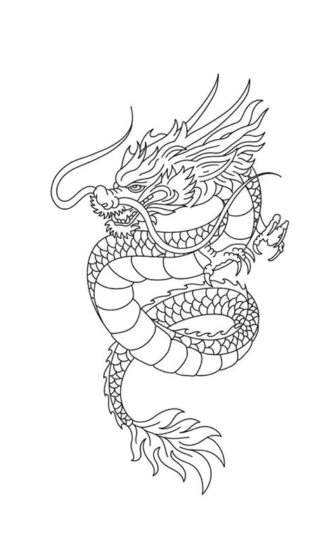 Dragon Tattoo Outline in 2023 | Dragon tattoo outline, Dragon tattoo stencil, Dragon tattoo designs