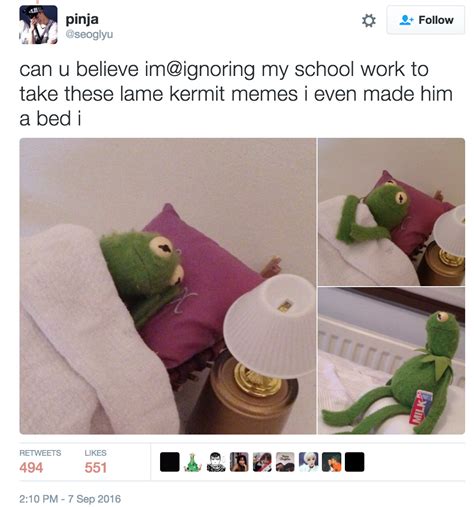 We Found The Creator Of The Sad Kermit Meme And She's Got A Vault Of ...