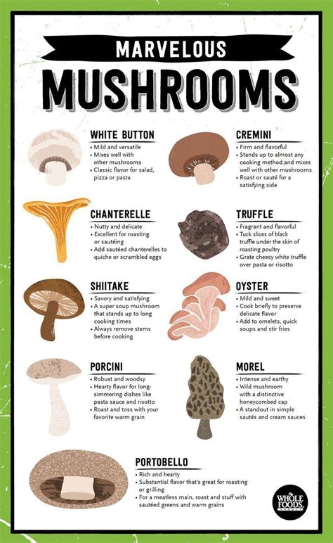 :O Mushrooms are such #nutrition superstars! Wanna know how to use each variety?Check out the ...