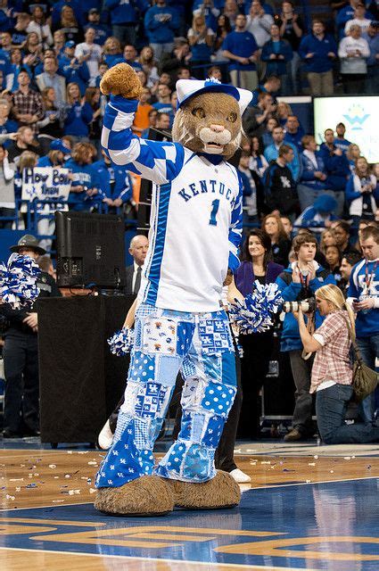 Kentucky Wildcats Basketball Mascot | uk espn college gameday 83 Kentucky College Basketball ...