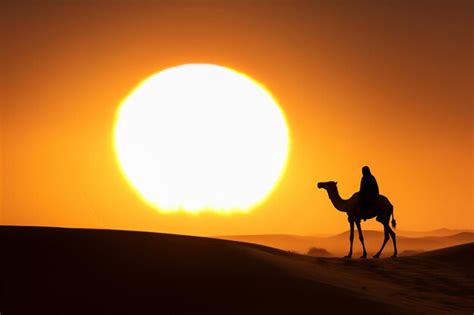 Premium AI Image | camels and human in the arabian desert in sunset create using generative AI tools