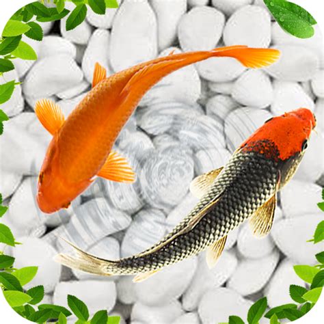 Fish Live Wallpaper 2021 2.0 APK for Android