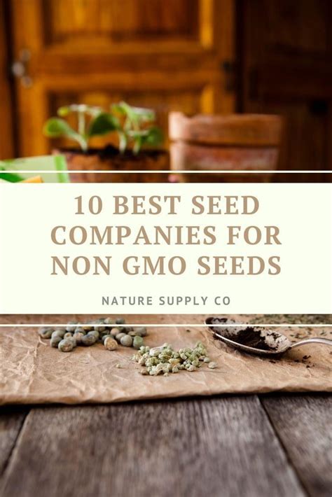 seeds on a table with the words 10 best seed companies for non gmo seeds