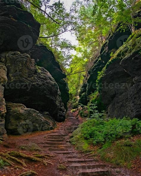 Narrow hiking path in the forest 16021773 Stock Photo at Vecteezy