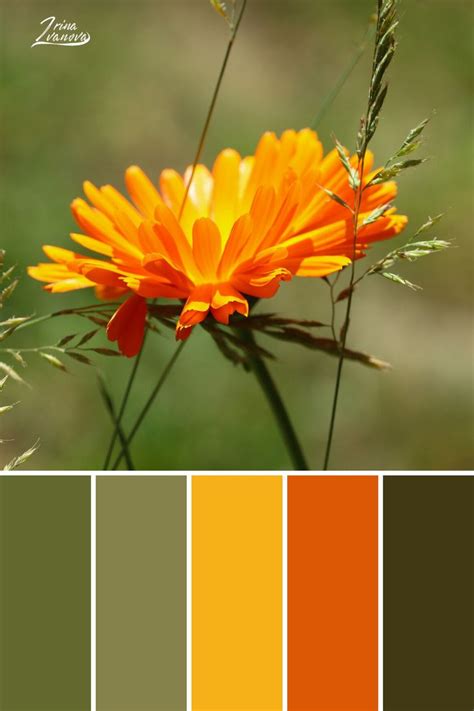 Pin on Color palette combinations design schemes living