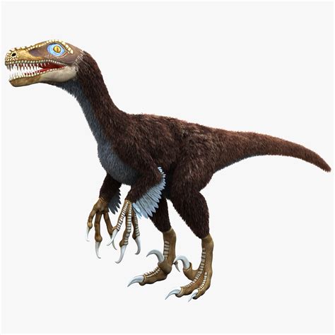 3d dromaeosaurus model