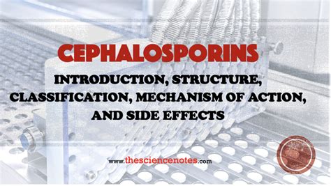 cephalosporin structure Archives - The Science Notes