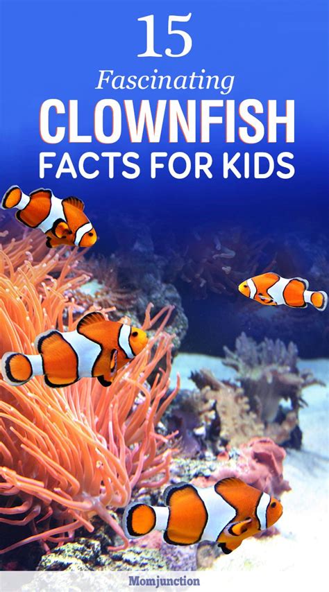 12 Fascinating Clownfish Facts And Information For Kids | Clown fish, Facts for kids, Animal ...