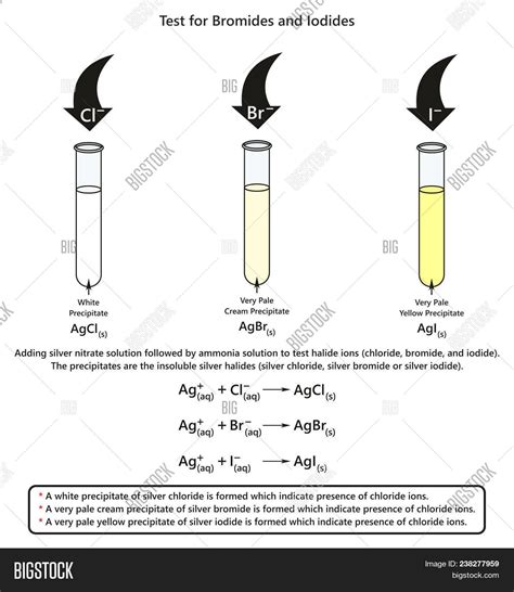 Test Bromides Iodides Image & Photo (Free Trial) | Bigstock