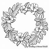 Hawaiian Coloring Pages  Free & Printable sketch template