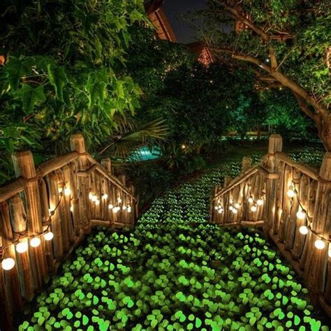 25 Magical Glow In The Dark Garden Ideas To Light Up Your Home