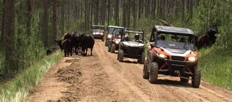 What Is The Best Side By Side For Trail Riding? (Top UTVs) - Offroad Roast