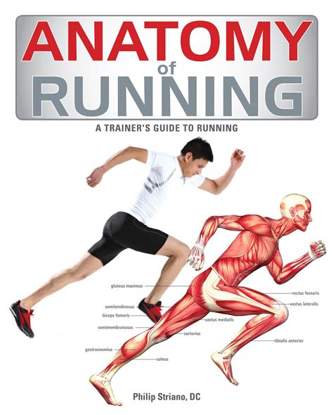 the anatomy of running book cover