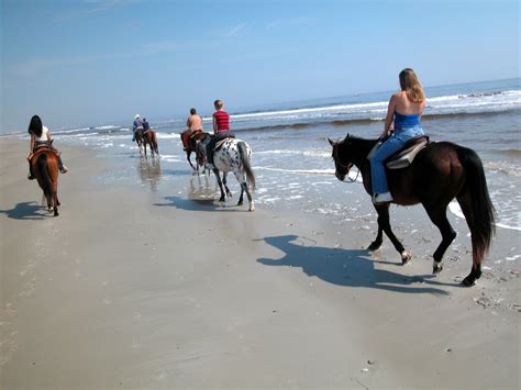 Take in beautiful Amelia Island by horseback. Photo by Vera Jordan ...