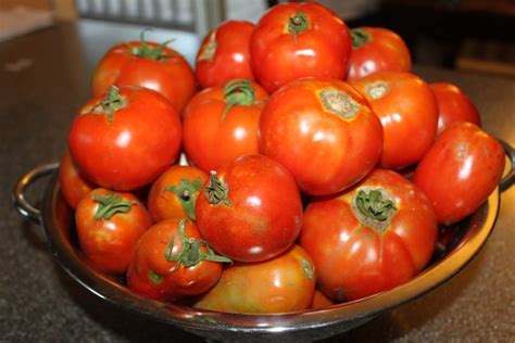 Tomato Season At The Farm - What To Do With All Of Those Tomatoes - Old ...