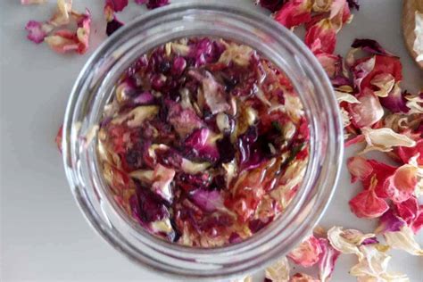 12 Hidden uses of Rose Petals - SimplyBeyondHerbs