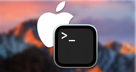 Useful Collection of Mac Terminal Commands to Know — Appflix