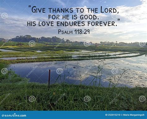 Bible Verse Inspirational Quote - Give Thanks To the Lord for he is Good. His Love Endures ...