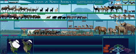 Pleistocene American Fauna WIP | Megafauna, Prehistoric animals, Prehistoric world