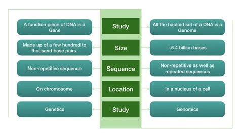 “Genome Vs Gene”, An Unusual Comparison