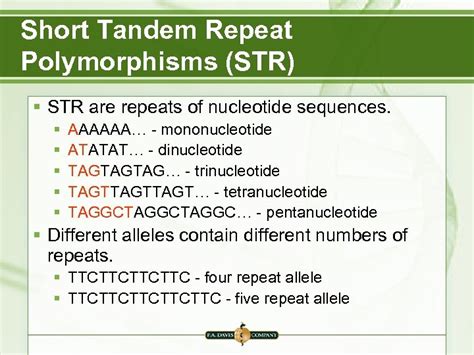 Chapter 11 DNA Polymorphisms and Human Identification