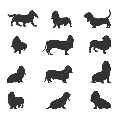 Premium Vector | Basset hound dog silhouettes basset hound silhouette basset hound dog svg ...