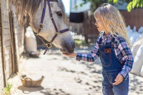 85+ Best Horse Farm Names for Your Stable, Ranch, or Riding School ...