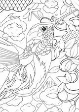 Complex Animal Coloring Pages At GetColoringscom  Free Printable sketch template