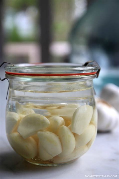 Fermented Garlic Recipe + 6 Ways To Use It