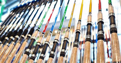 Everything You Must Know About Saltwater Fishing Rods | Saltwater fishing rods, Saltwater ...