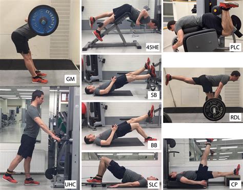 Eccentric Hamstring Exercises Pdf | EOUA Blog