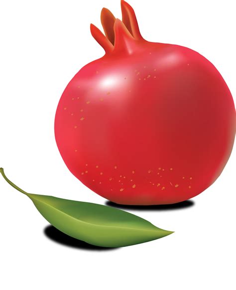 Pomegranate Clipart | Free download on ClipArtMag