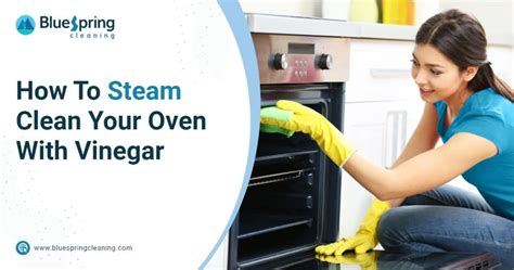 How To Steam Clean Your Oven With Vinegar | Blog