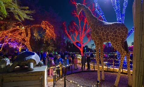 ZooLights at the Phoenix Zoo in - Phoenix, AZ | Groupon