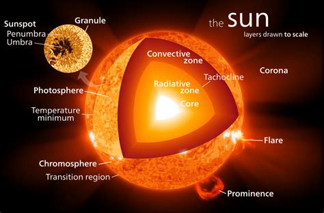 Sun Diagram With Labels